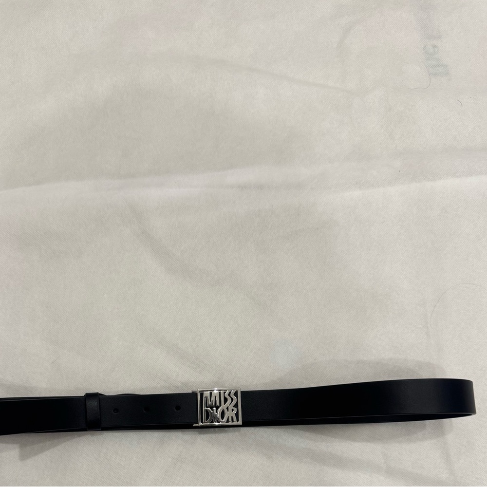 Dior Black Belt Bag with Silver Logo - Picture 11 of 13